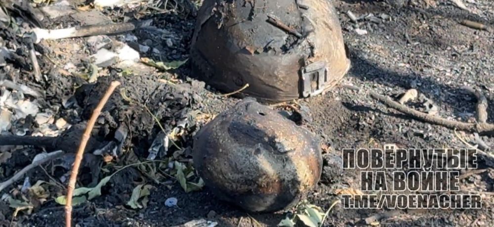 ������� ��� ����� ���������� ������ �������