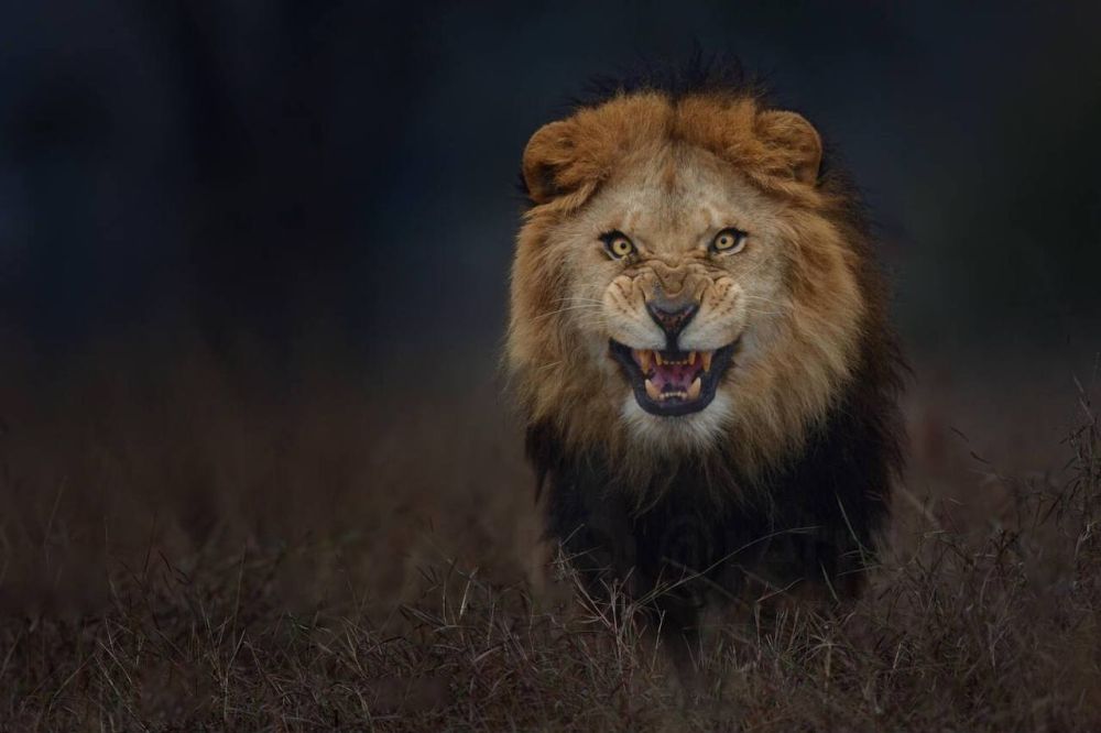 � 2012 ���� �������� ���� ���� ������ ��� ������ ���� �� ��������� ��������� �� ��� �����