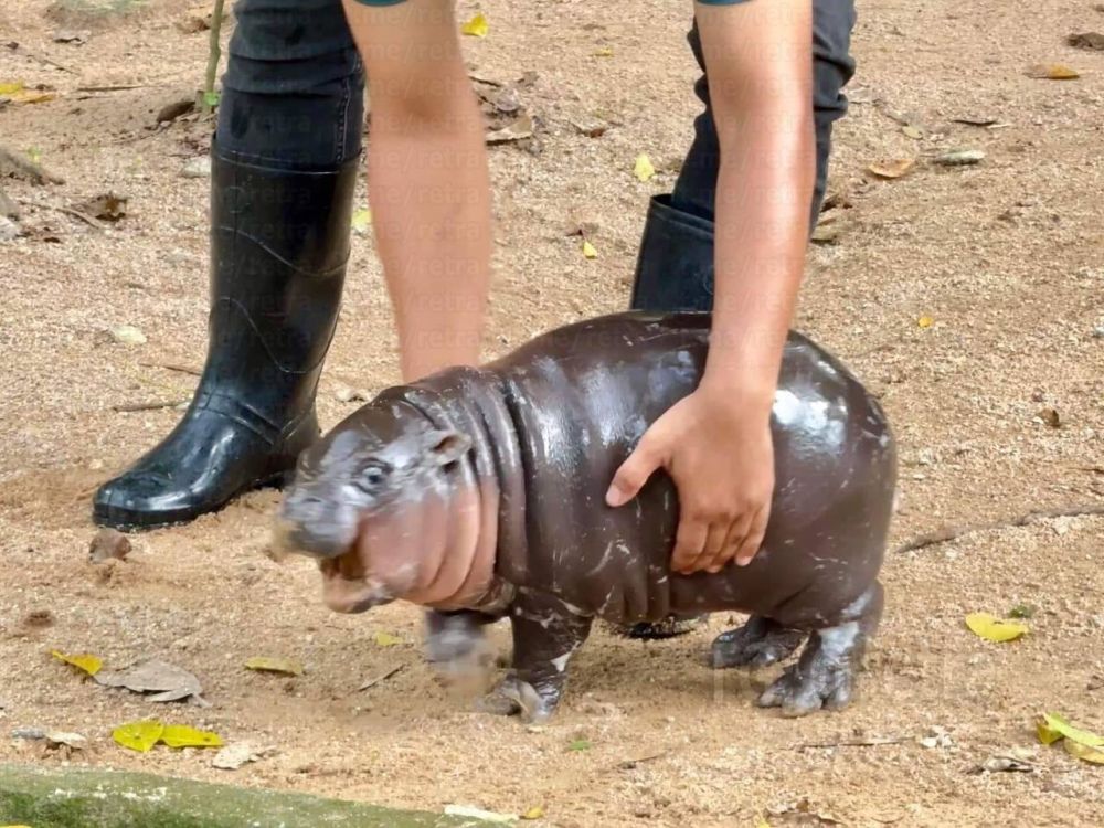 � ���� ������ ������������ ������ ����������� �������� �� �������� �������� �� ������ ���� �� ����