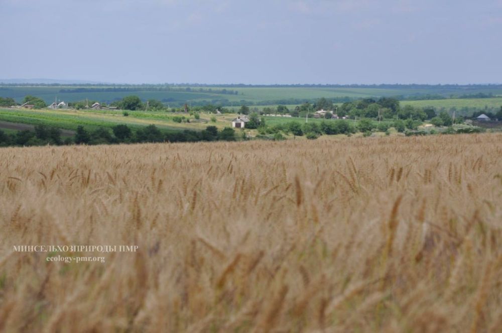 ������� � ����������������� ��� ���������� �������� ���������� �������������� ������������ ���� ������������������ � ������������� (�����������) ���������