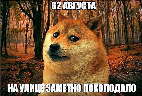 �������� ���� ���������� � ��������� �����������