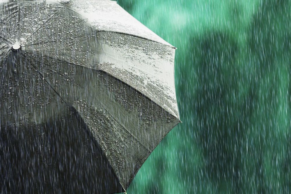 Циклоны принесли дожди. Анализ погоды от главного метеоролога Приднестровья «На этой неделе на погоду в Приднестровье оказал...