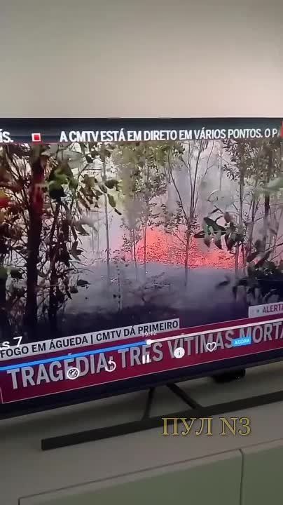 ����� ��� �� �����: � ���������� �������� ��������� ����� ����� ������ � ����� ������������ �������� ����� � �����