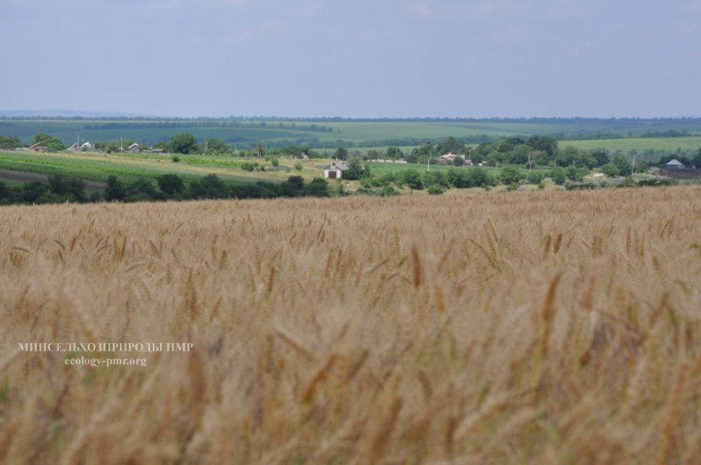 Проверка выполнения инвестобязательств