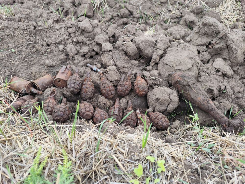 � ���� ������������ ����� ����� ������� ����������� ������ ������� ������������� �����