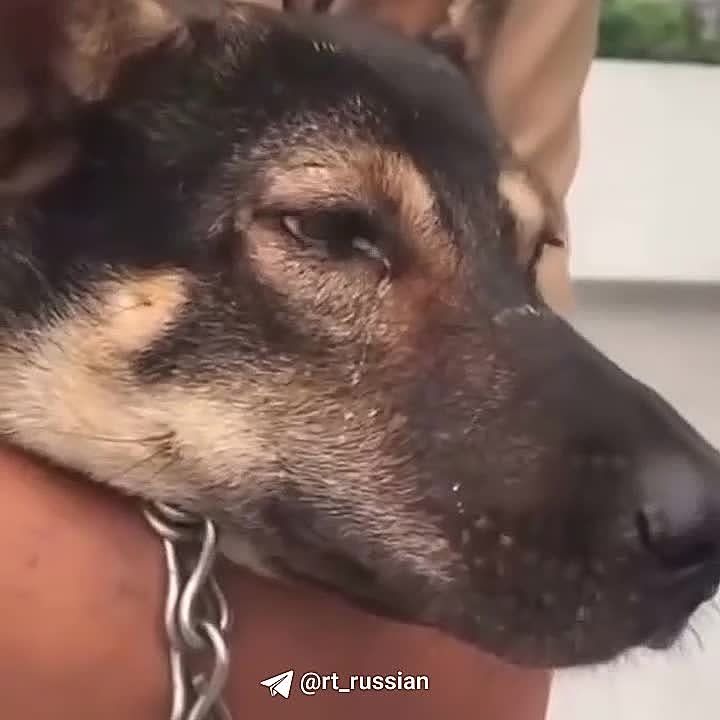 ������ ���������, ����� ������� ����������� �� ����� �������� ����� ������� �� ��������