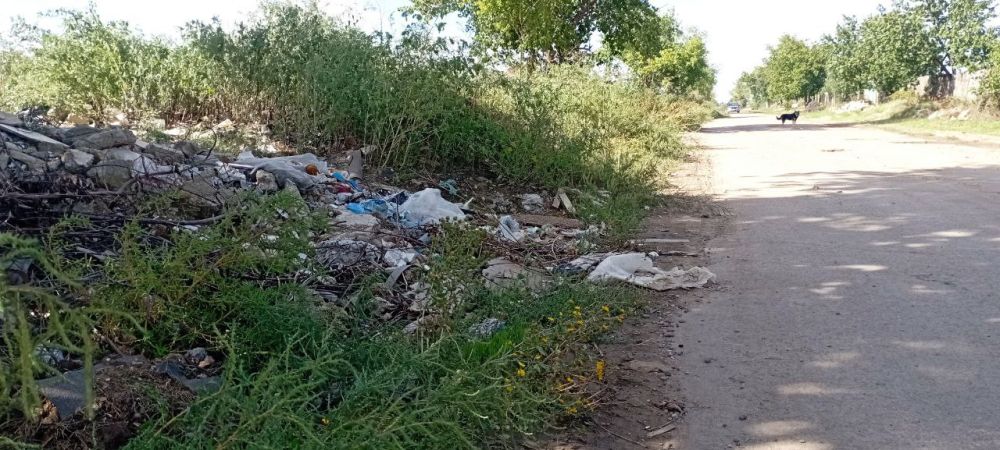 � ������ ���� ������� ����������� ����� 100 ������������ �� ������ ������ ��� ������