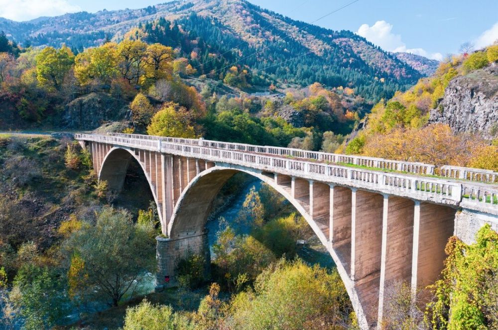 � ���� ����� ������ � ���� ����� ����������