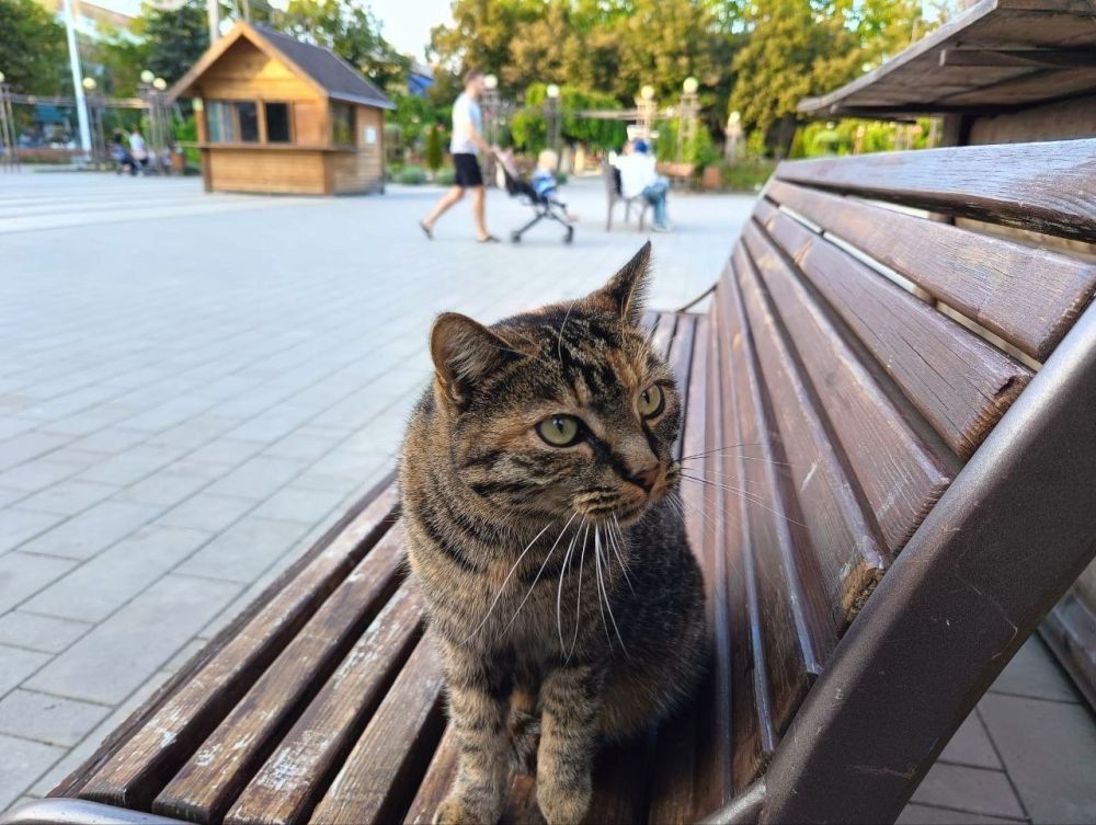 ��� �������� ��������� ����� �� ����� �� � ��, 21 �������� ��������� ���������� ����������, ��� �������