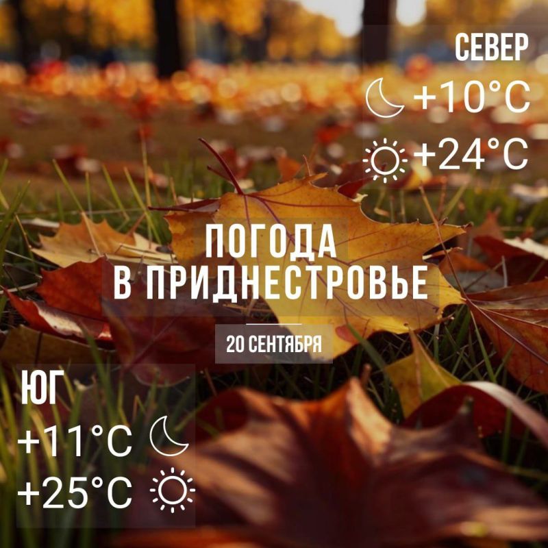 ���� � �� +25��. ��� �������