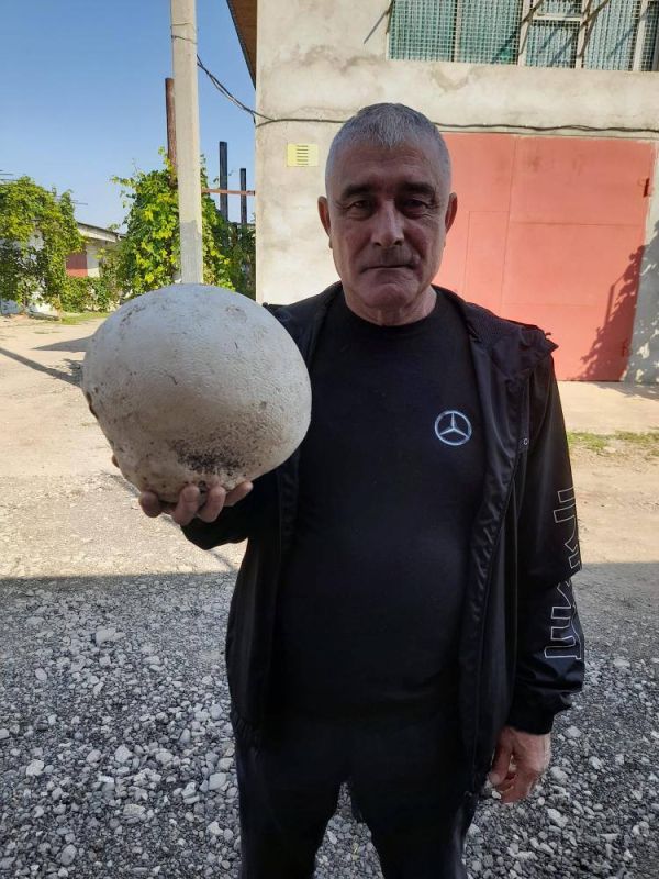 ���������� ���� ����� �����������