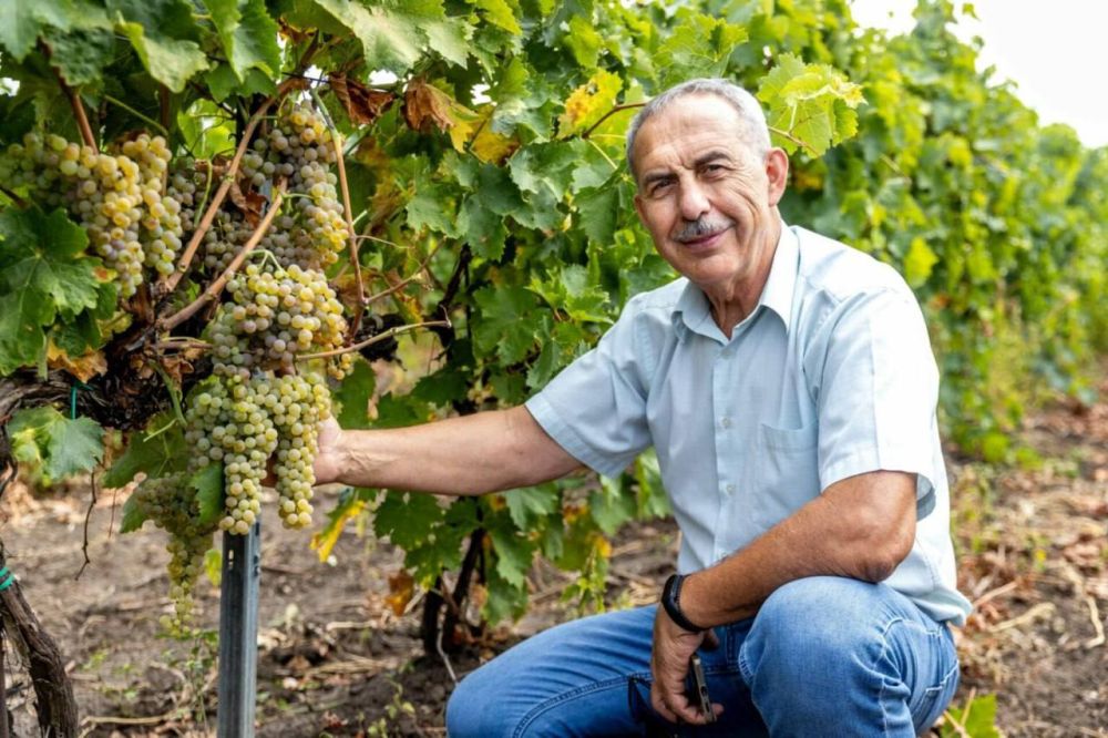 �������� ����� �KVINT�, ���������������� ��� ��������, ���� � ������� ����������, ���� ��� ������ �� � ��������� �����, � �� ����������� ����������, ������������� ����� �������� ���������� �����������