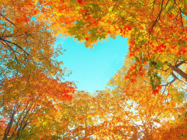 ������� 22 �������� � ���� �������� �������������