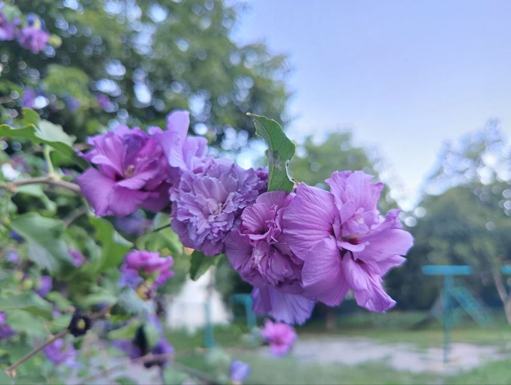 �� ���� ������ ��� ���� ����� ��� ������� ������, ���� � ����� ������ ������������ �����