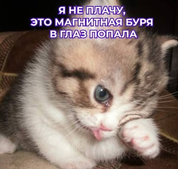 ������� ��������� ���� ������� ������� �� ���� ������