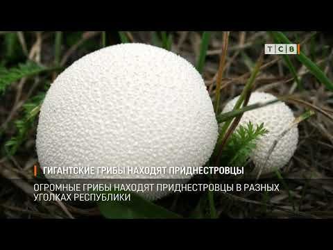 �������� ����� ������� ������������� � ������ ������� ����������