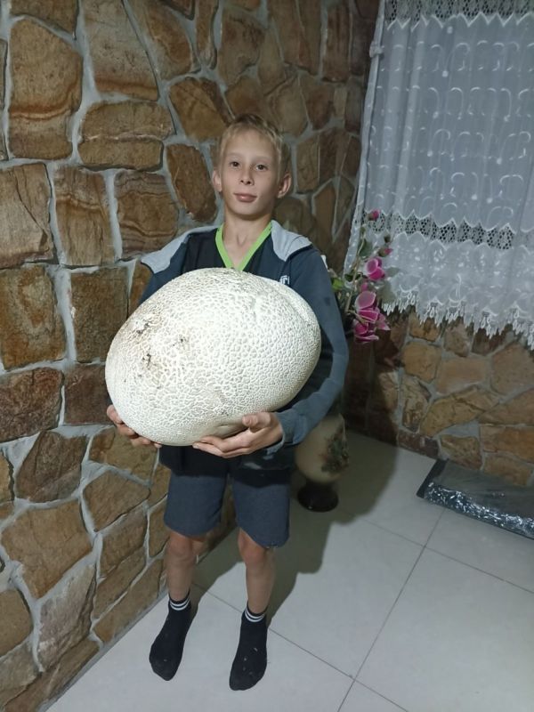 ���� ������ ����� ���������� � ��������� ������