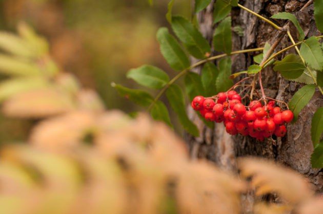 23 �������� ������������ ��������� �������� ���������� ����� � �����, ������ � IX ����