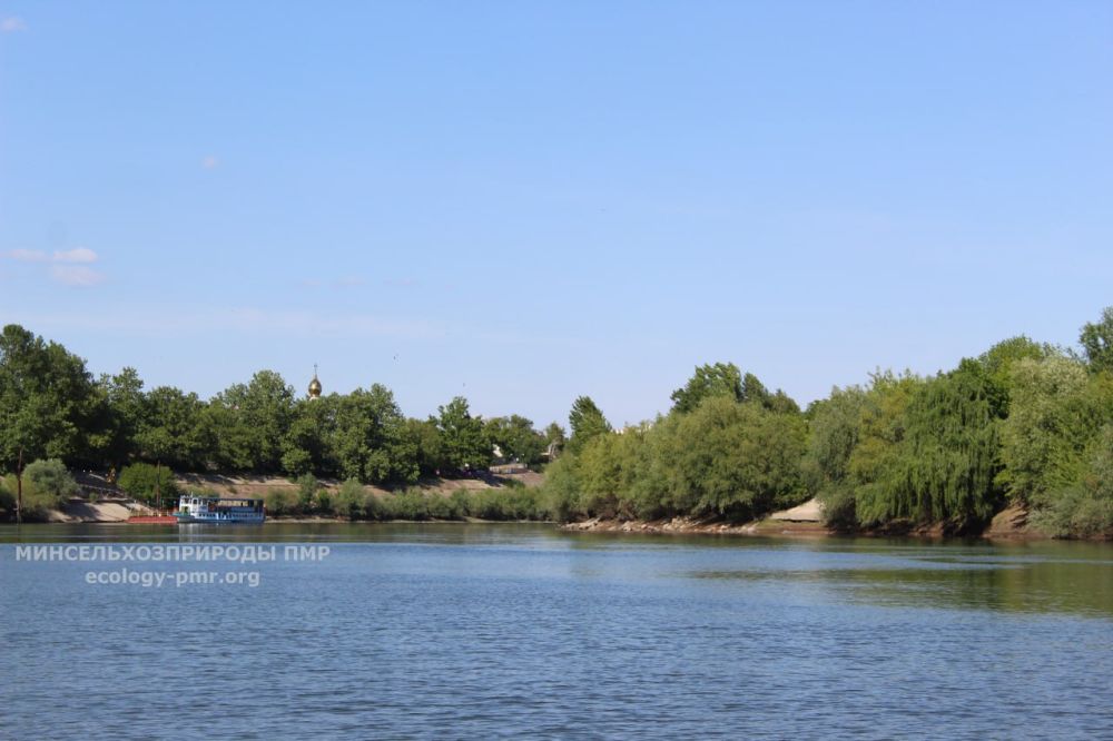 ������� ������. �������, 23 ��������, ��������� ������������ ������, ��� �������