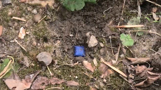 ���������� ���������� ��������� �� ���� ��� � �������