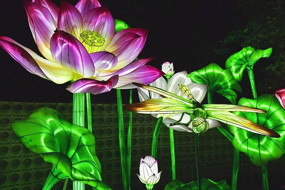 ����� ����������� ��������� ��������� ��������� �� ��� ����������� ������� �������� � ������