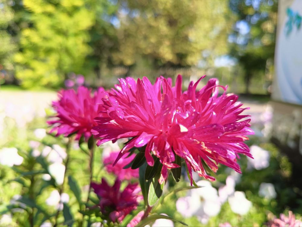 ��������� ������ ��������, � � ��� ��������, ������ � �����