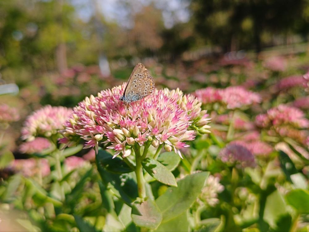 ��� �������� ��������� ����� �� ����� �� � ��, 24 �������� ��������� ���������� ����������