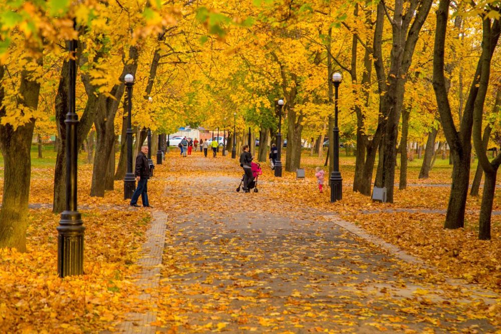 ��� ������� �������, ��� � ������