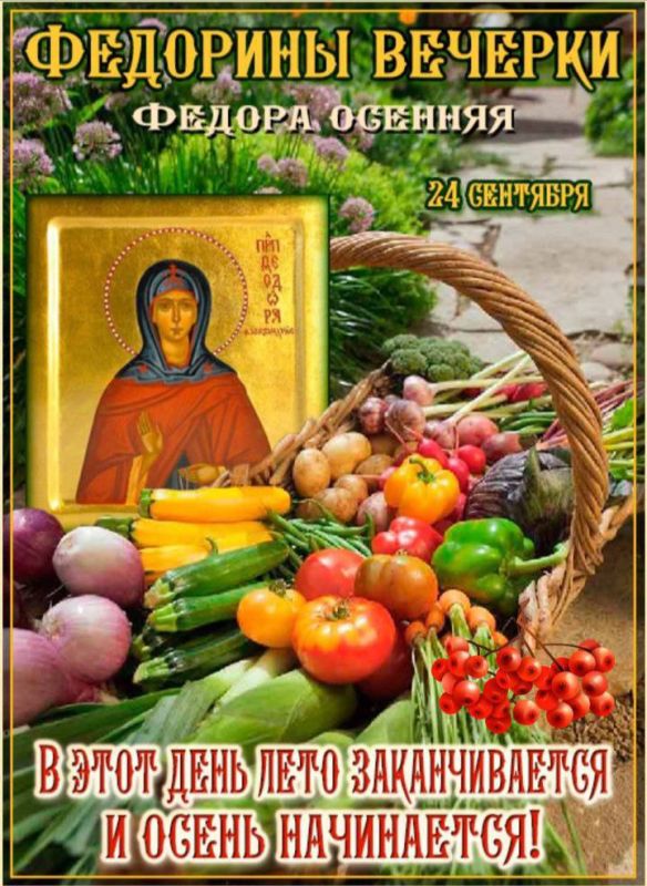 � �������� ��������� 24 �������� - �������� �������� �������