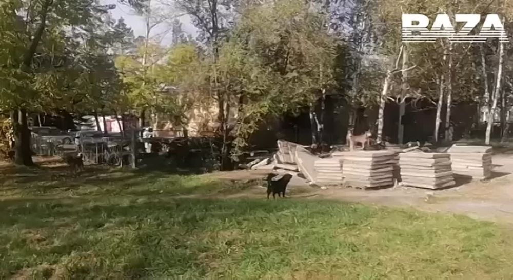 � �������� ������� ���� ���� ������, ����� ���� �������� � ������� ����� � ������ ��� 30 �����