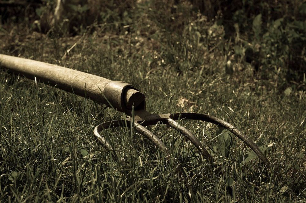 23-летнему отцеубийце из Григориополя грозит от 6 до 20 лет тюрьмы