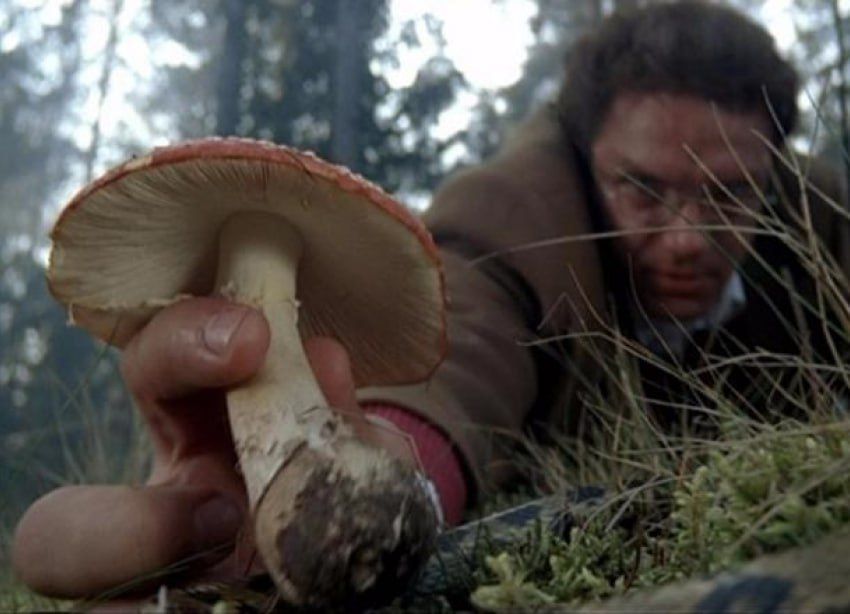 29 ������� ���������� ������� � ������� � ���� ����, ����� ��� ���� �����