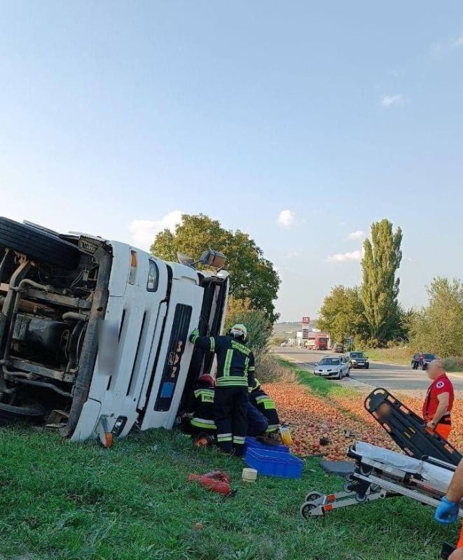 �������� � 15-� ������� ����� ������������ � ���������� �������