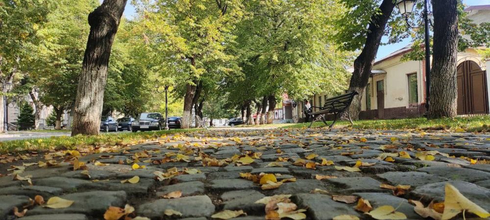 ������� ������� - � ������������� �.�������