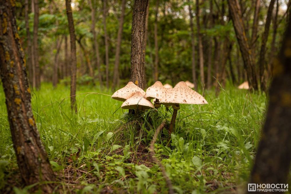 �������� ��������� � ������������ ��� ����� � ������� ������