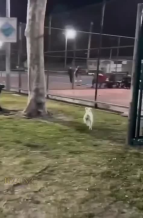 ����� ��������, � ������� R2-D2: ��� �������� �����-�����������, ��������� ������������� ����� ���-���������