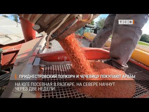 ��������������� ������� ������� �� ����� ��� ���� ������ ������� � ���� � � ������ ����������� �����