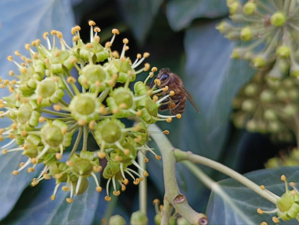 ��� �������� ��������� ����� �� ����� �� � ��, 26 �������� ��������� ���������� ����������, ����� � ����� ������� ������ ��������������� �����, ���� ��� �������