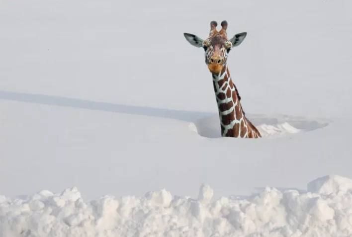 ���������� �������� ��������� �� ����� ������