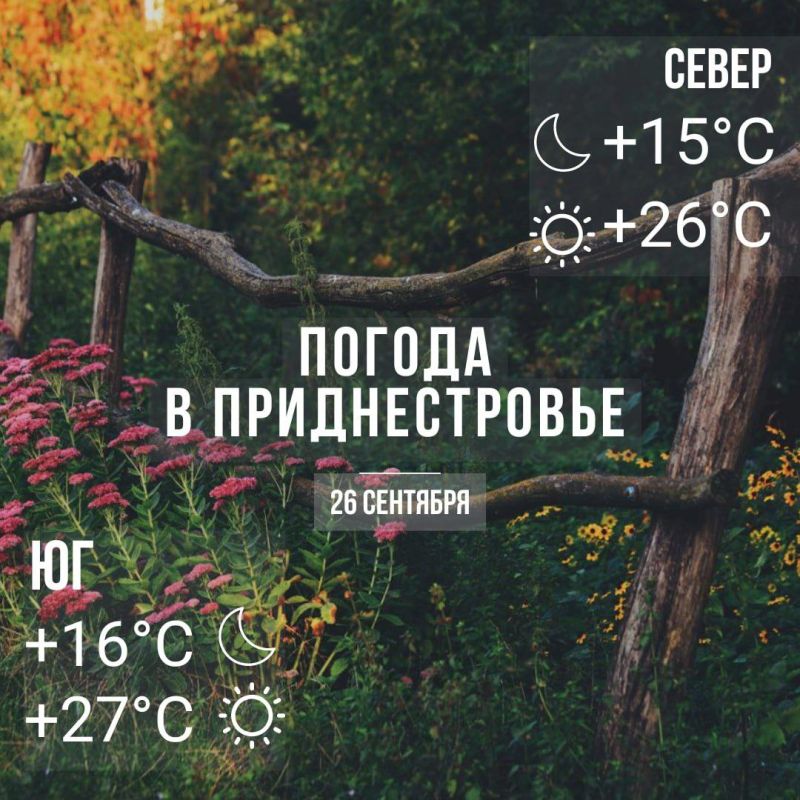 ����� ������� �����. ���� � �� +27��