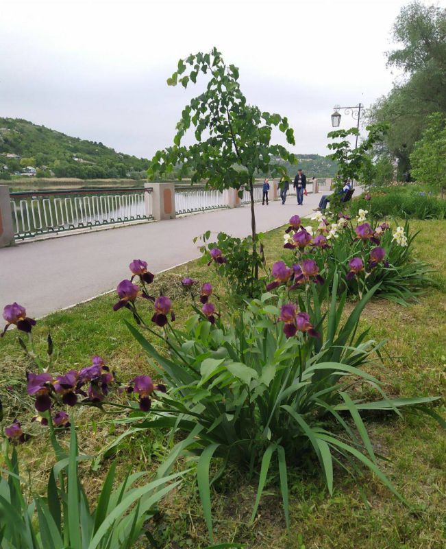 ���������� ����������� � �������