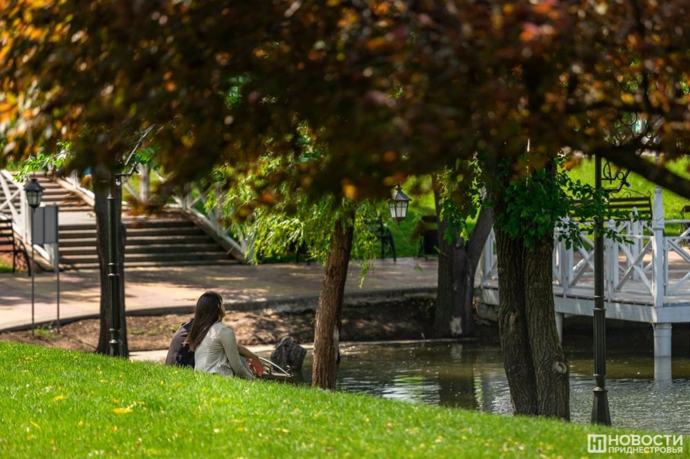 ������ ������ ��������� � ���� �� ����� ������