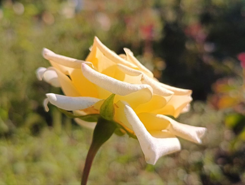 ������ ������ ��������� �� ����� ������