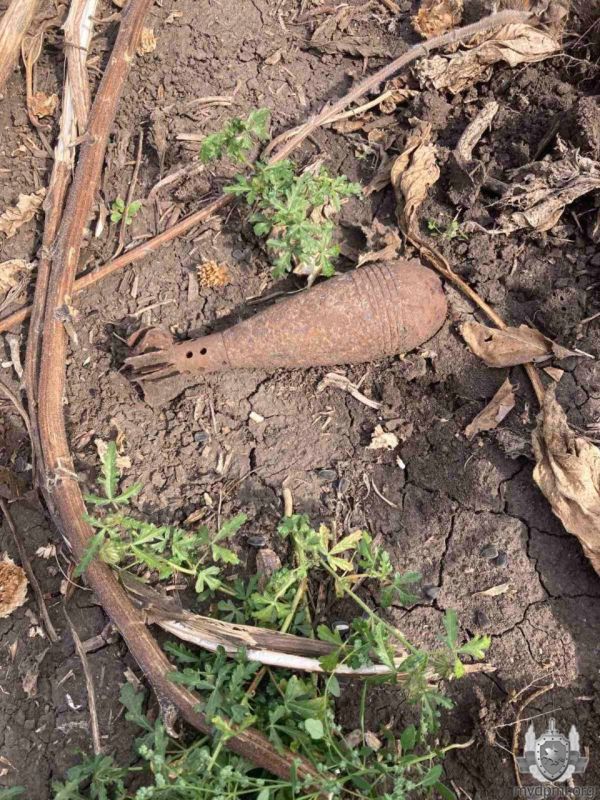 При уборке подсолнуха 24-летний агроном нашел мину времен Великой Отечественной