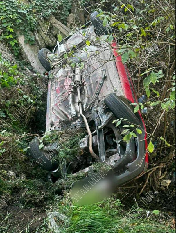 ����������� ������ � ��������������� ����������� ����� ���� ���������