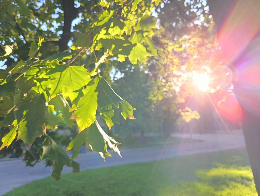 ��� �������� ��������� ����� �� ����� �� � ��, 28 �������� ��������� ���������� ����������, ��� �������