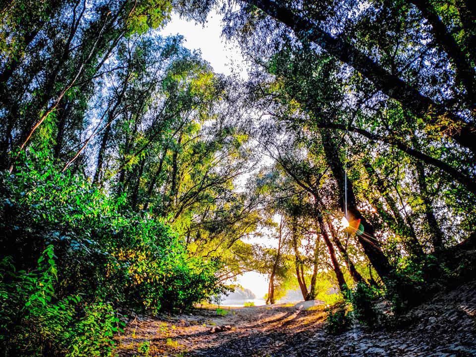 29 �������� � ���������� ���� ��������� ���� ���� ��������