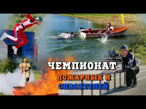 � ������������� ������ 29-� ��������� �� �������-����������� � ��������-������������� ������