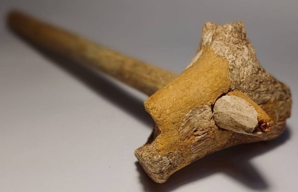 ��������������� ��������� �������� ����� ����������� ������� ������� �� ����