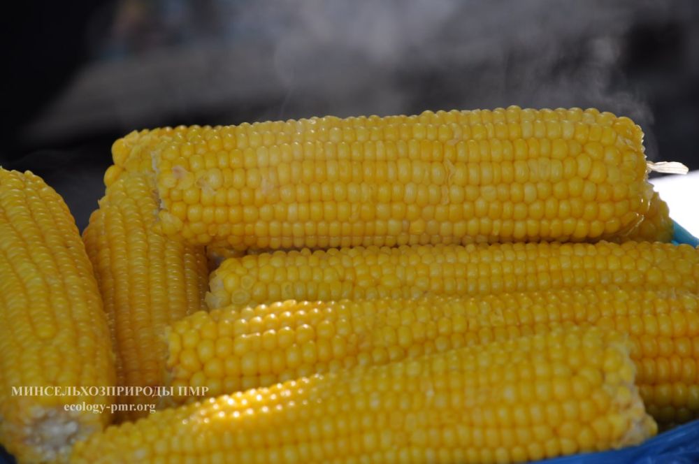 ��������� �������� ������������